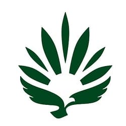 Rise Cannabis